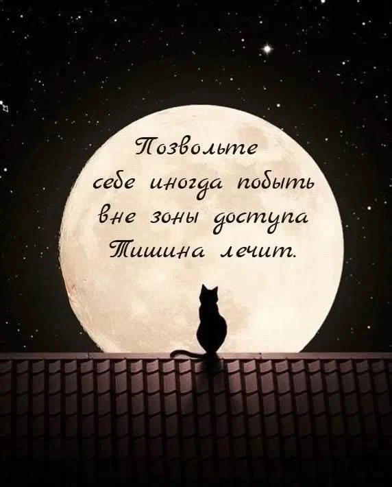 Вам открытка 💙