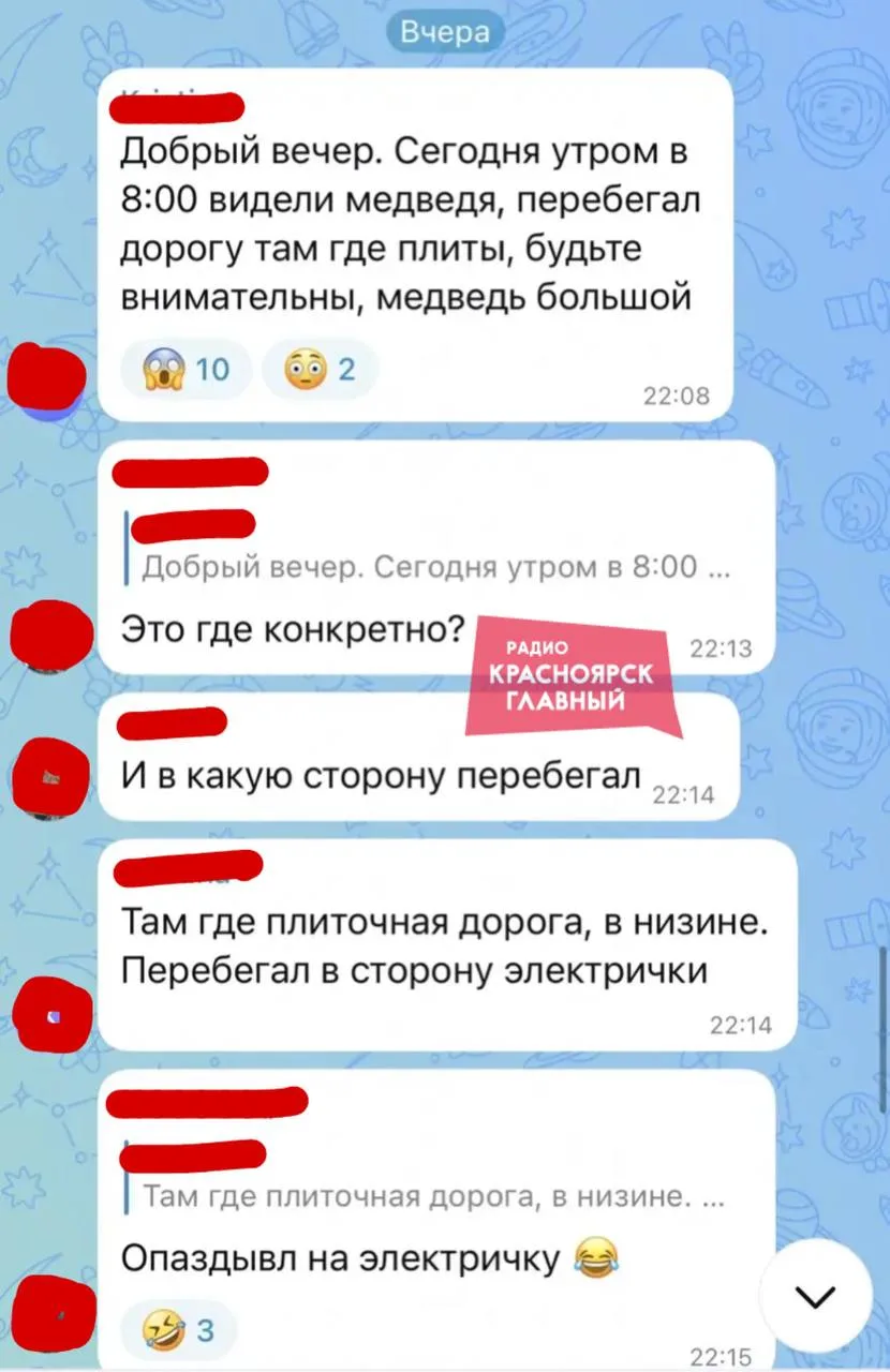 ❗️Дачники Емельяновского округа снова заметили медведя.