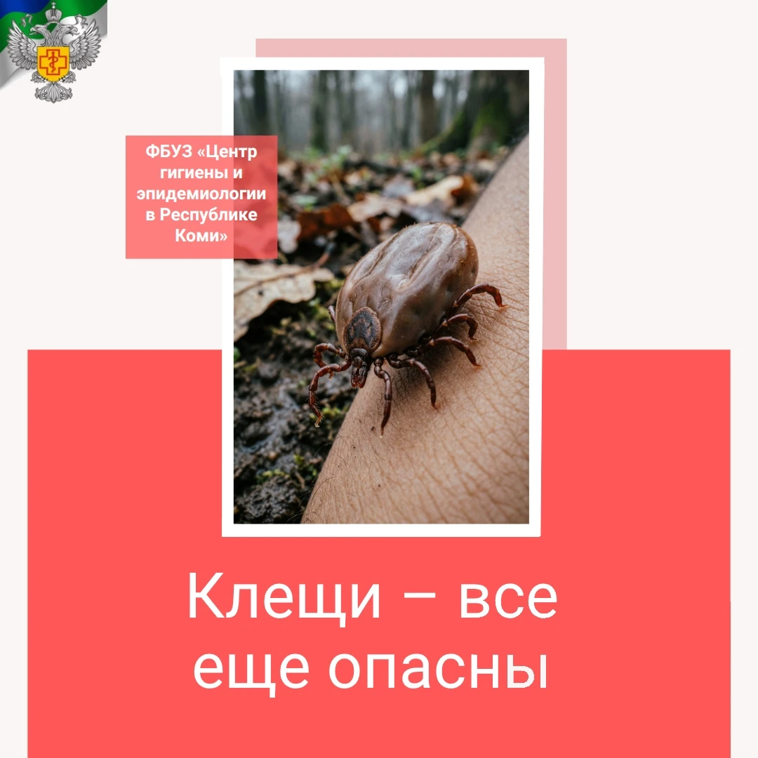 Клещи – все еще опасны