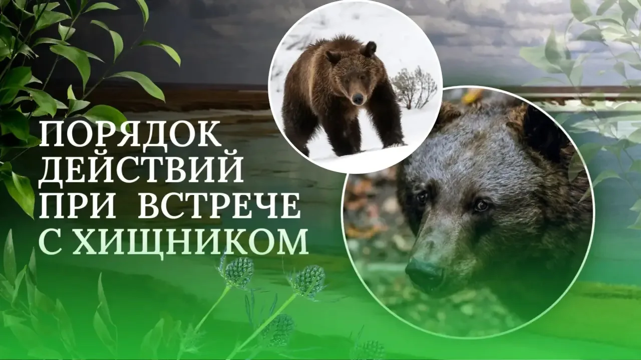 Уважаемые жители Анадырского муниципального округа!