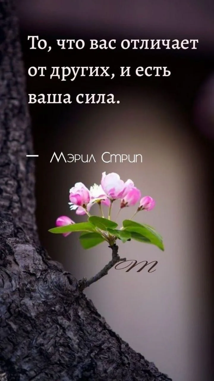 МИР ПОЗИТИВА 🤩 ОТКРЫТКИ!