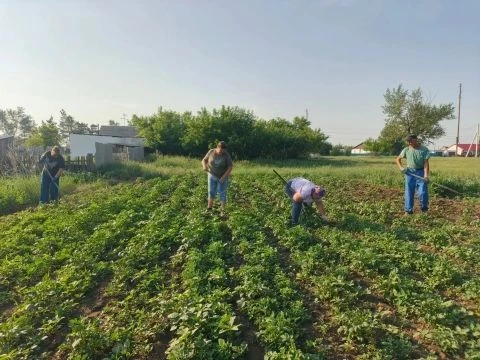 Сегодня сотрудники структурного подразделения детского сада "Ласточка" МБОУ "Устьянская СОШ" несмотр