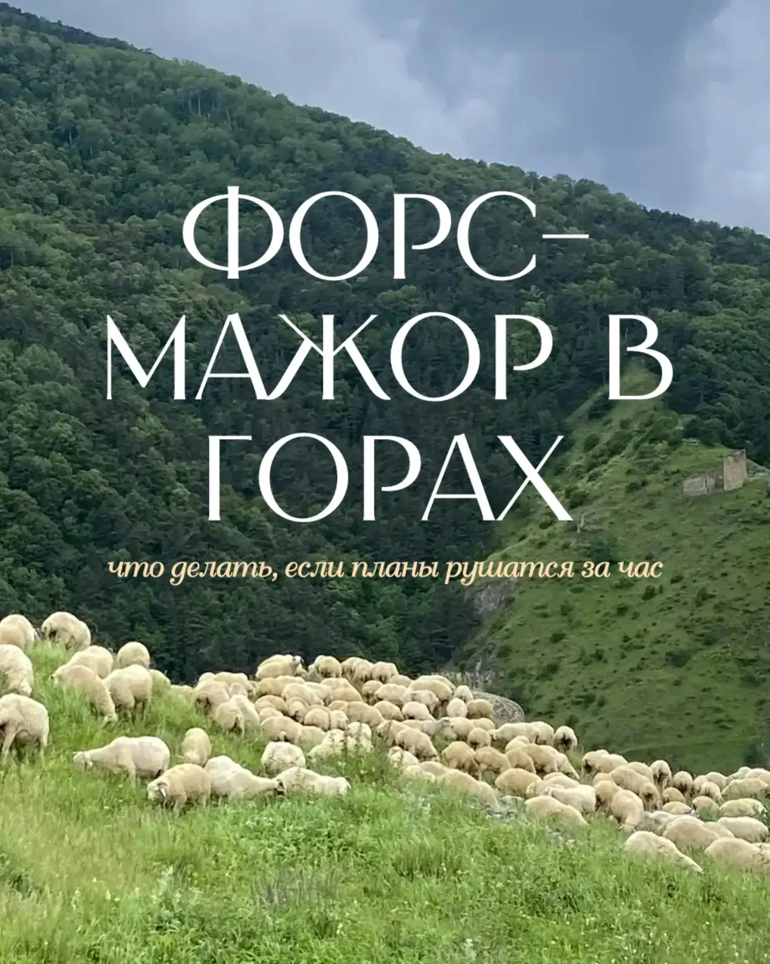 Знаете, чему учат горы? Не драться с обстоятельствами.