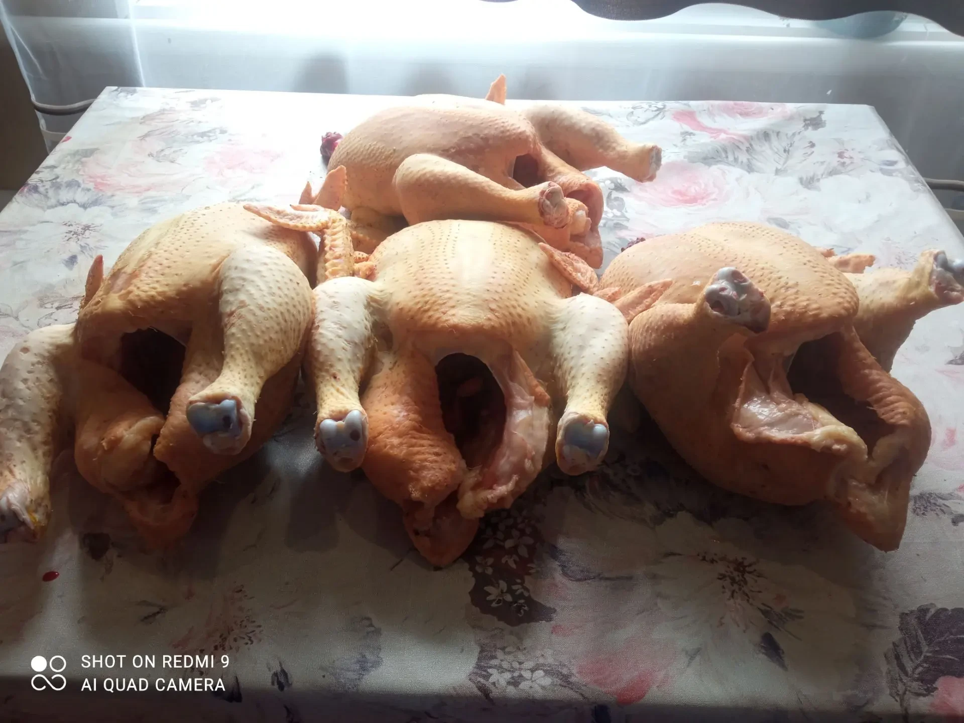 Принимаю предзаказ на тушки бройлеров, вес от 3кг.Стоимость 420 р за кг. Мясо очень вку...