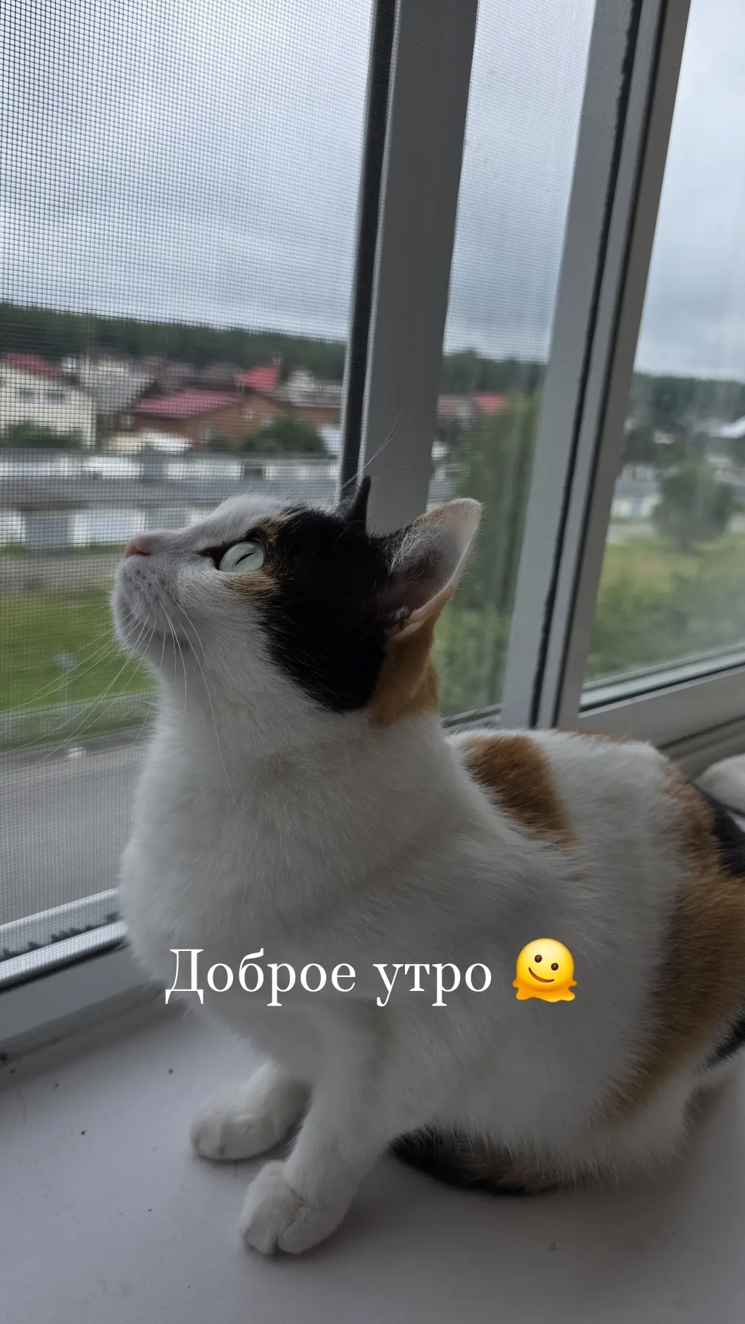 Вот такое доброе утро фрилансеров🥰
