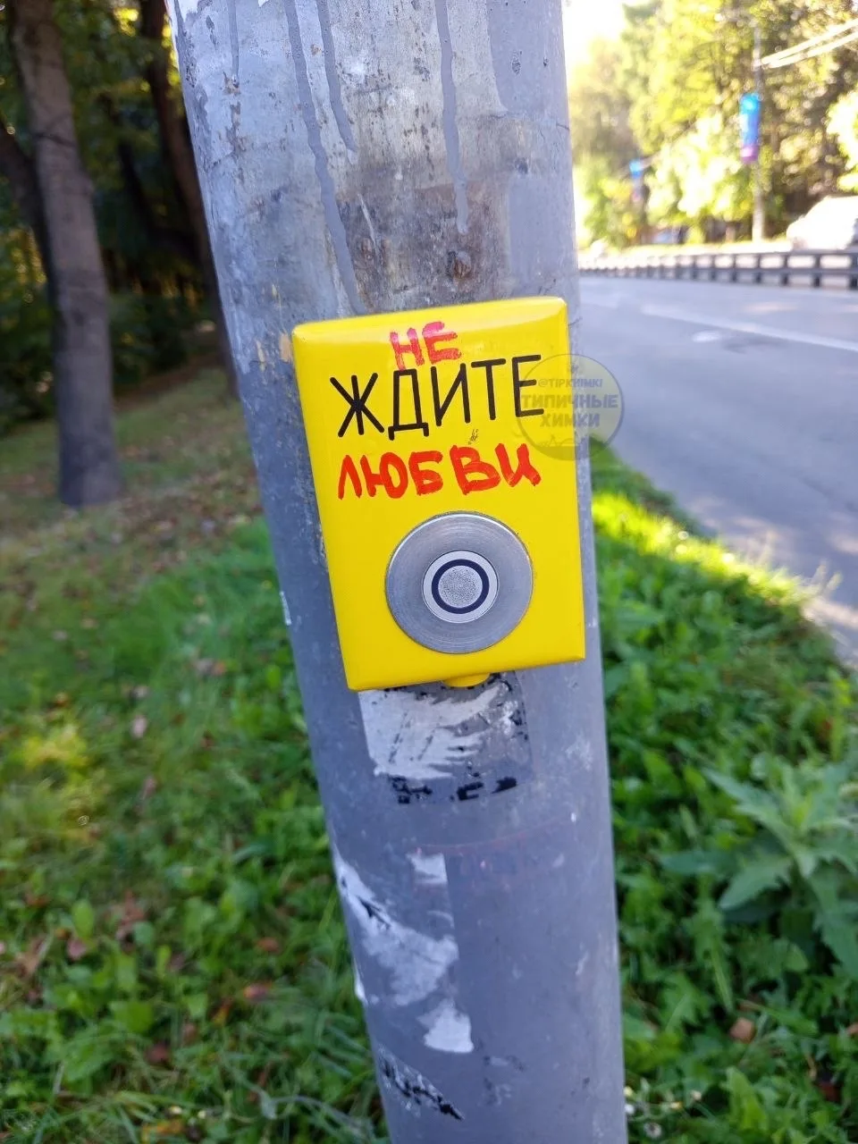 Послание от светофора на ул.9 мая напротив сквера М.Рубцовой 💔