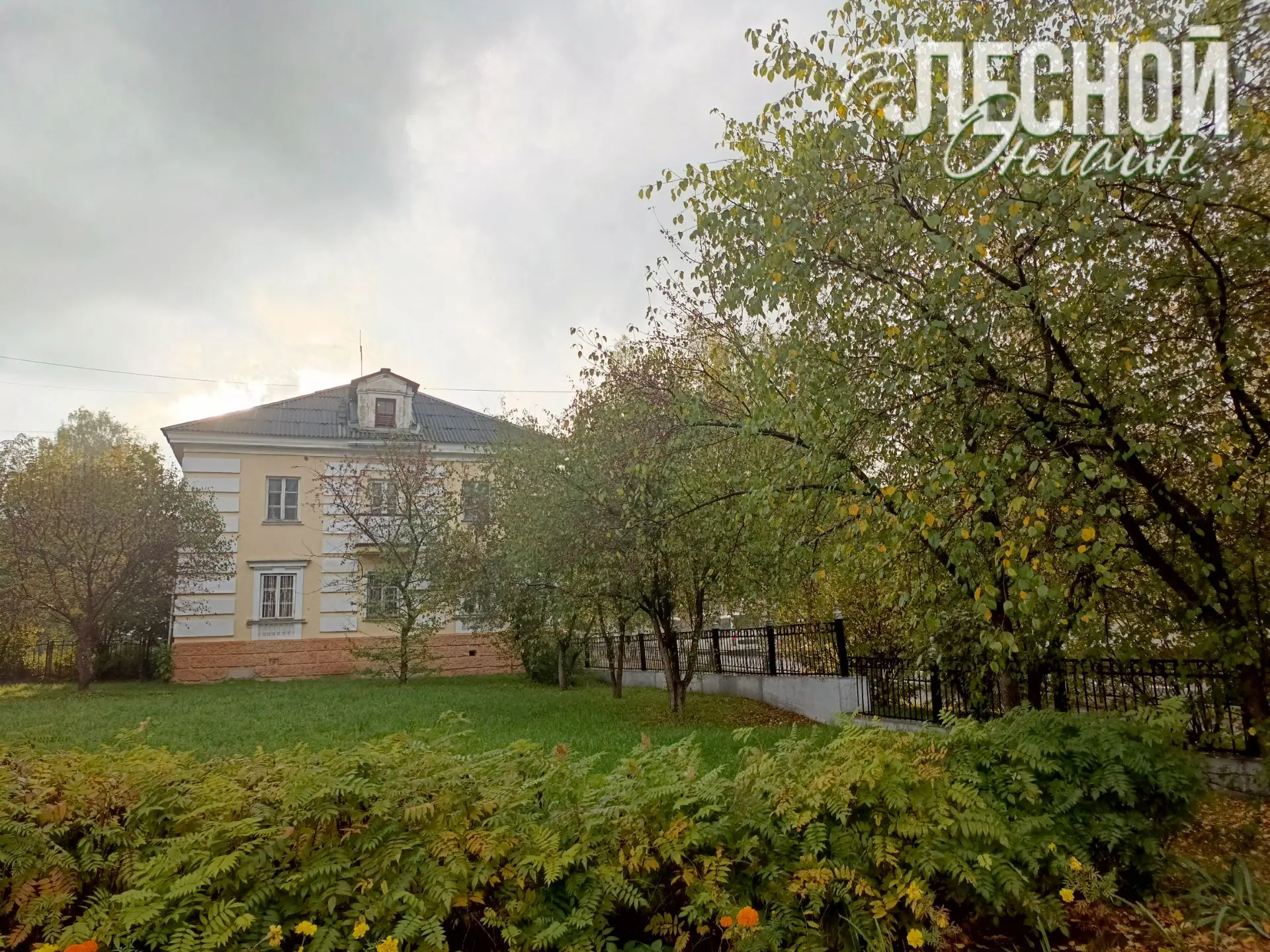 Лесной укрывается золотом осени 🍁🍂