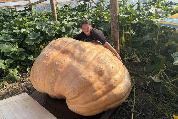 🎃 Вот это да! Гигантскую тыкву вырастил школьник из Приангарья.