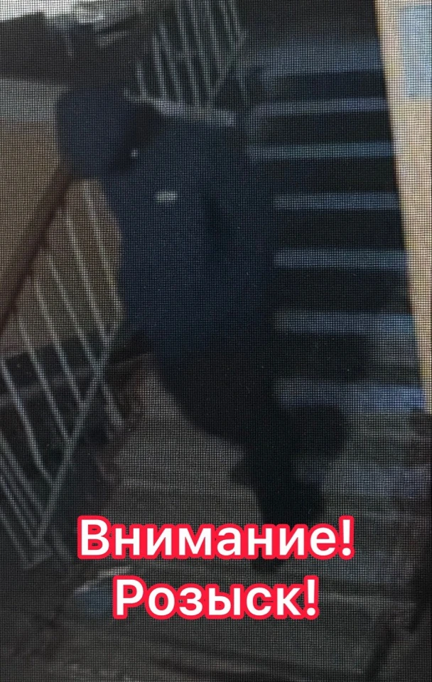 🛴 Сотрудники отдела полиции № 7 УМВД России по г. Тюмени устанавливают личность мужчины, который 4 