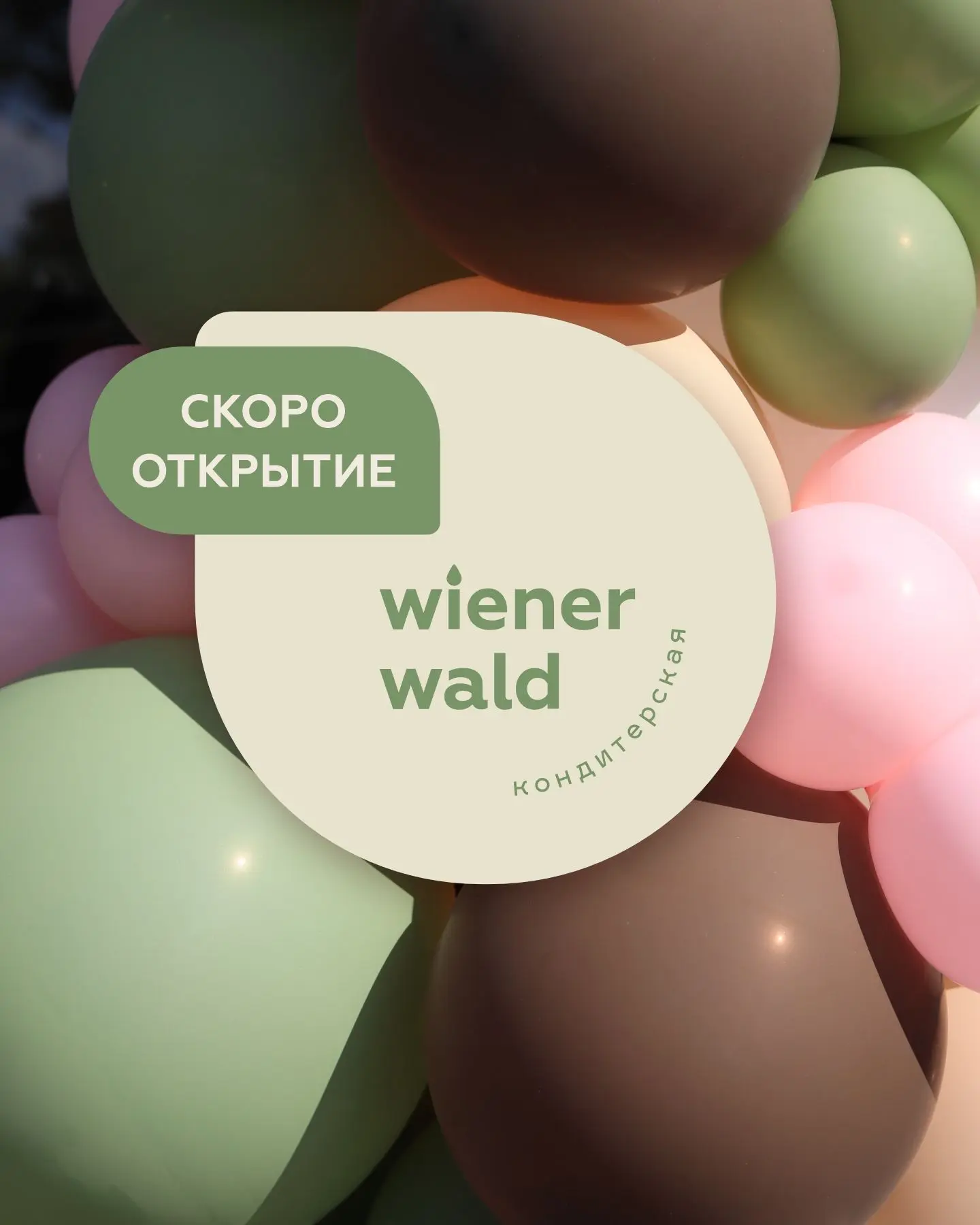 ⚡️ НОВАЯ кондитерская ВИНЕР ВАЛЬД на Лесной Поляне! 🥳