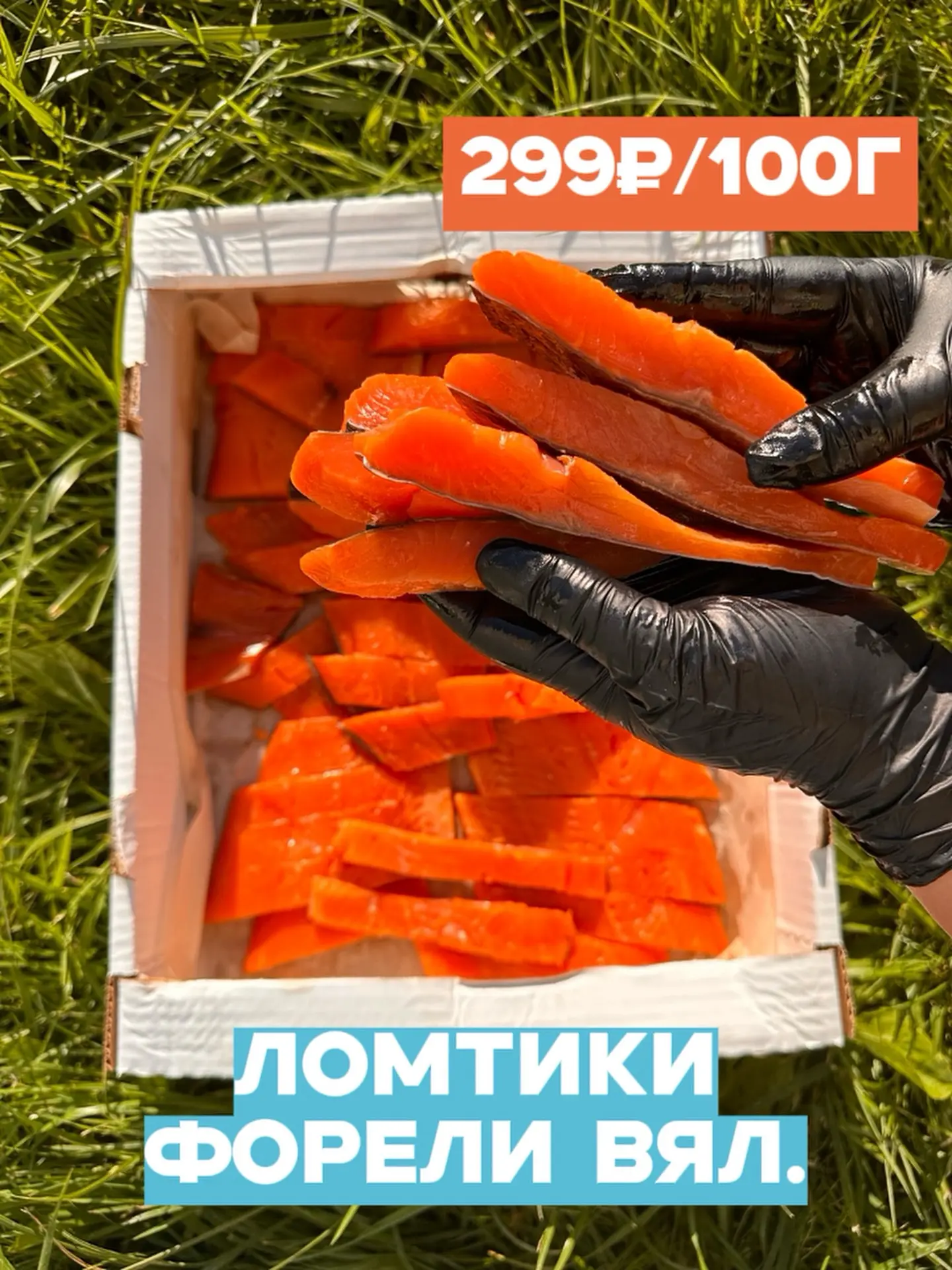 ОБЗОР ВЯЛКИ 🐟🔥