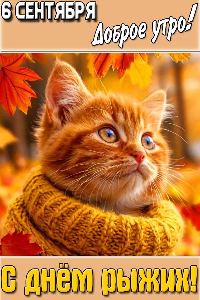 🌞🌹🌞 С Днём рыжих! Поздравляем!