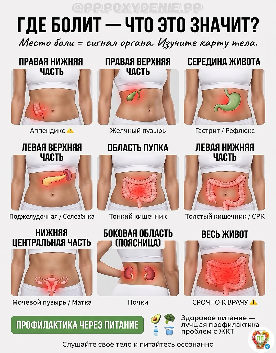 🦠 ТЫ ХУДЕЕШЬ, НО ЖИВОТ РАЗДУВАЕТСЯ, А КОЖА ТУСКЛАЯ⁉️