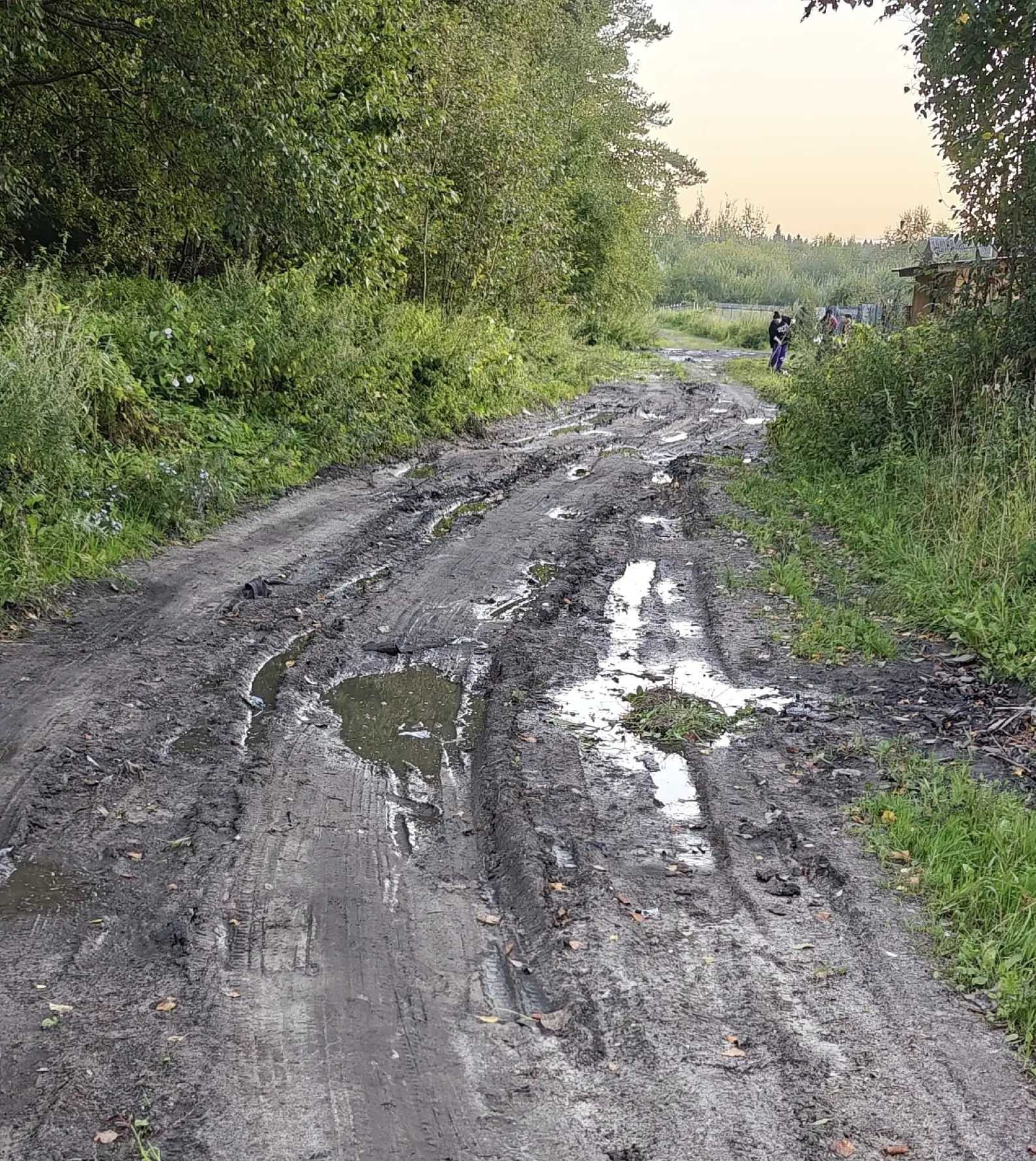В Шарье люди вновь увязли в грязи — и в обещаниях чиновников❗️