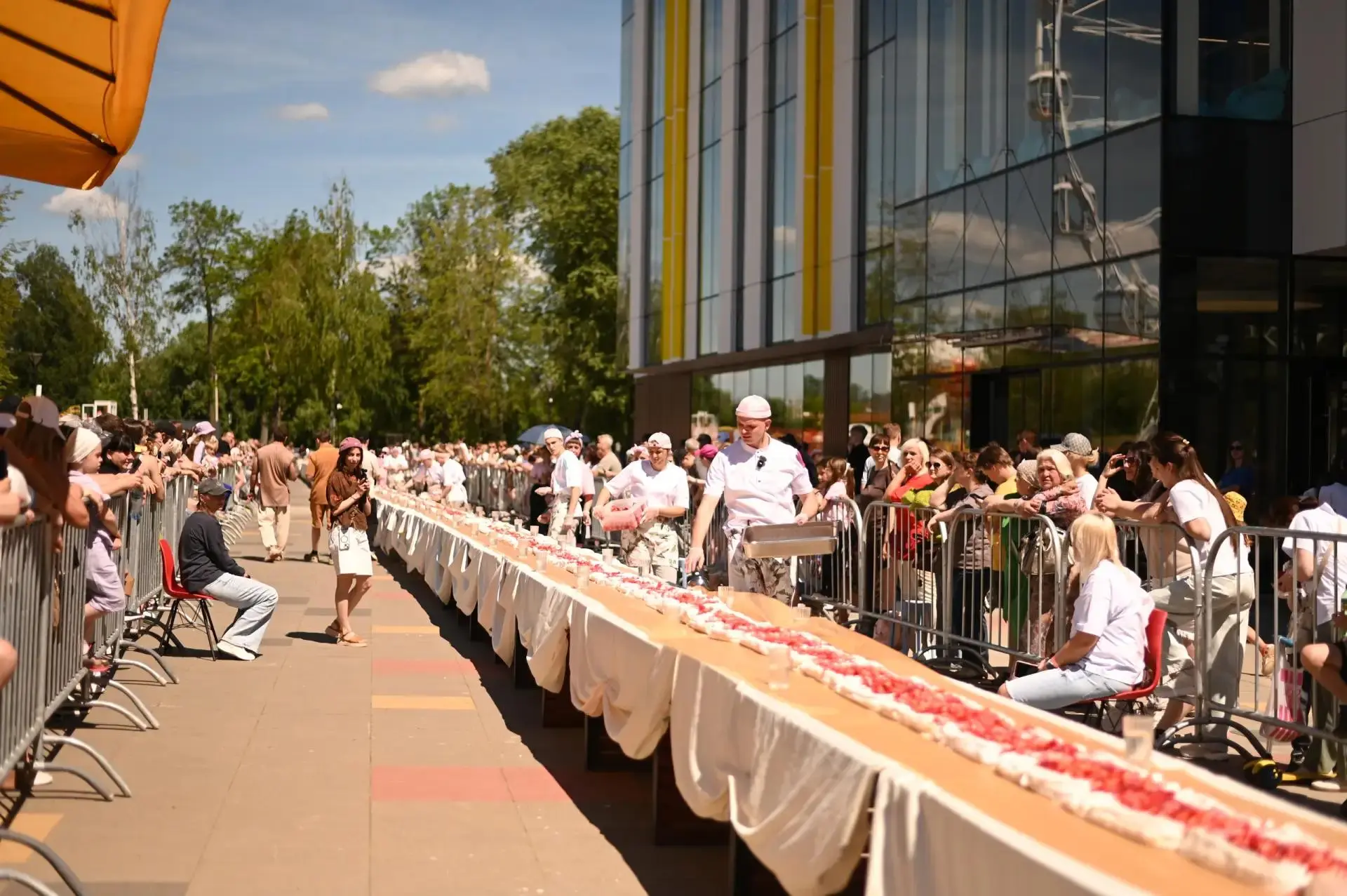 🍰 В Великих Луках установили новый мировой рекорд!

В «Луки-Парке» на площадке возле семейно-досуго