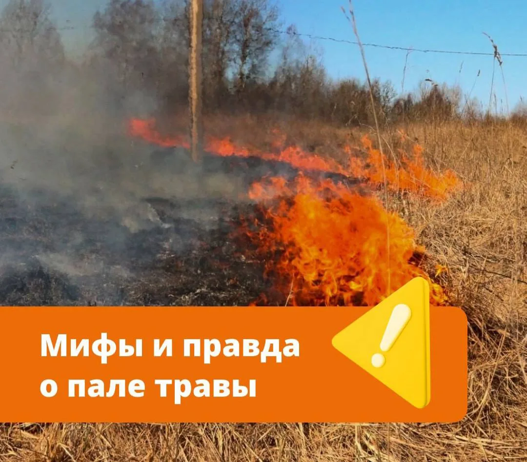 Выжигание травы не поможет расти новой зелени лучше – огонь только уничтожит семена и п...