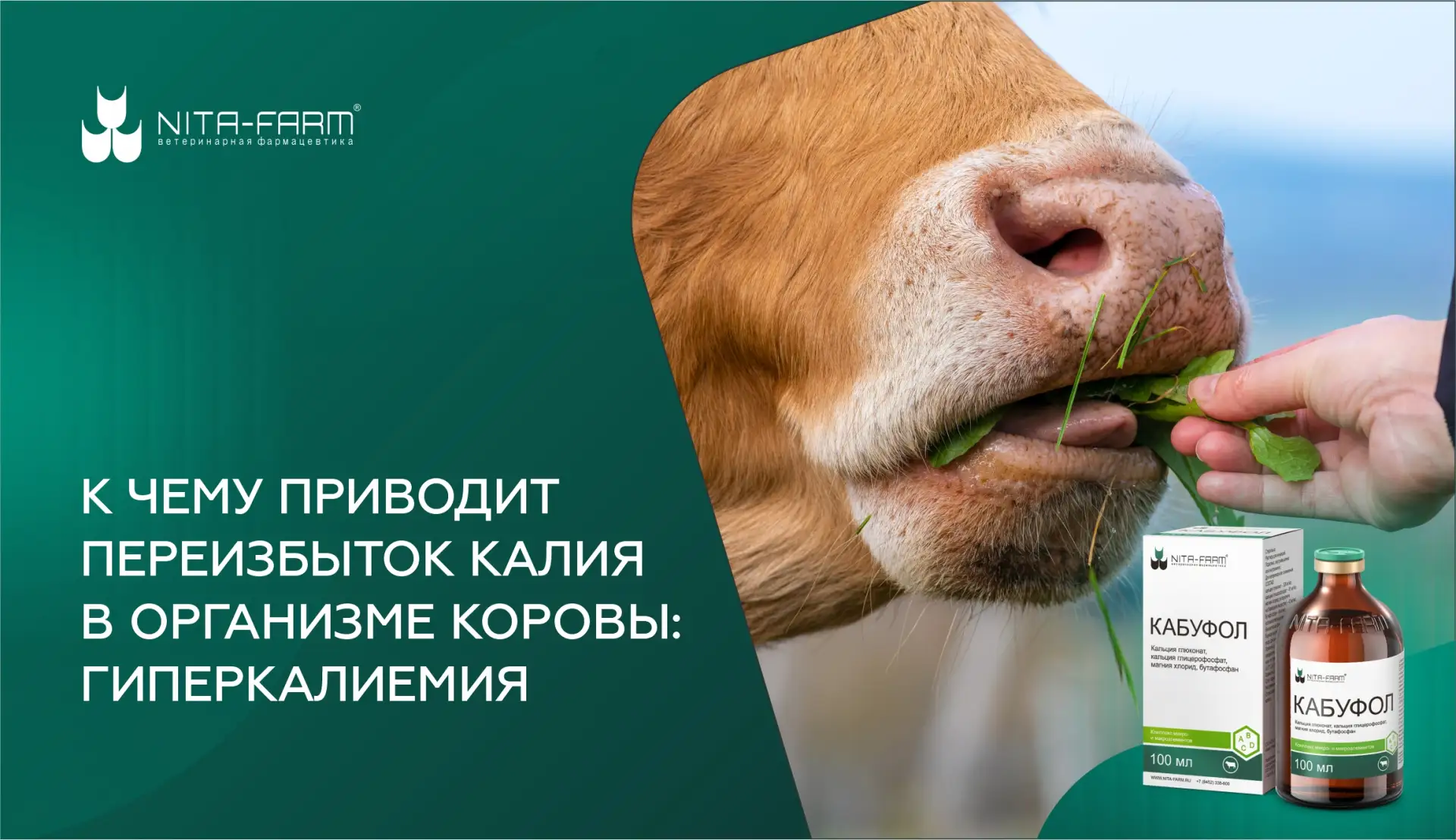 Калий — это важный макроэлемент-электролит, который поддерживает водно-солевой баланс, ...