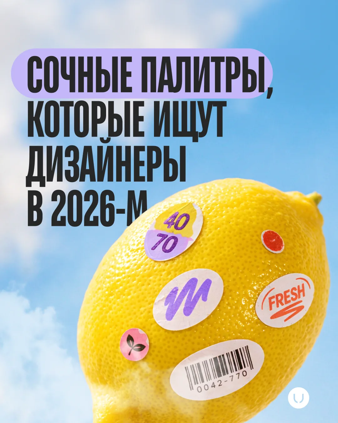 Трендовые цветовые палитры 2026