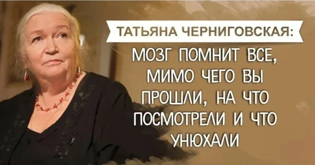 Ты не можешь играть с землетрясениями, с цунами. Ты не можешь играть с мозгом, это не игрушка, это о