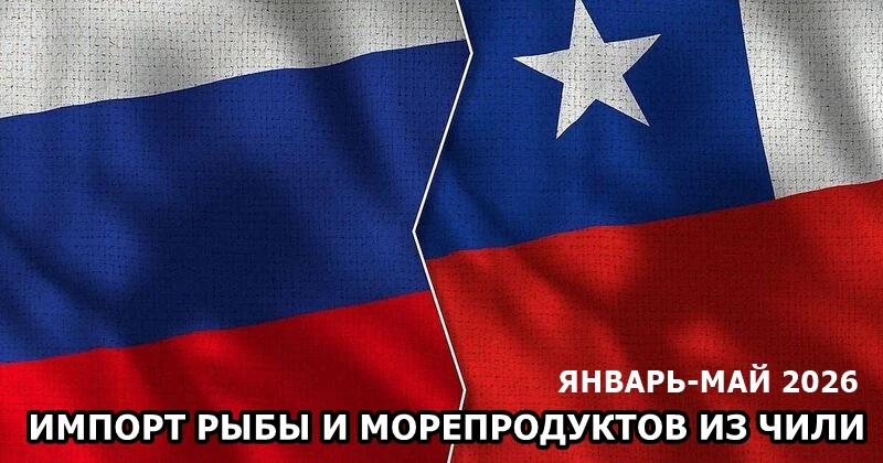 🐟 Российский рынок охладел к чилийскому лососю (статистика импорта за январь-май 2026)