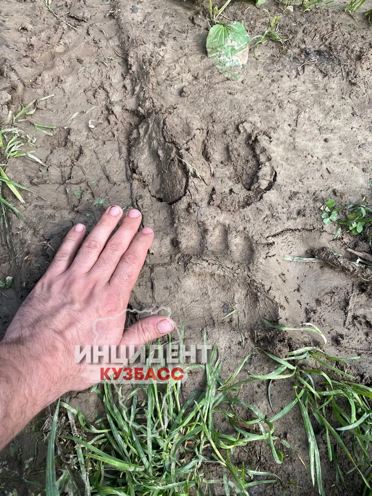 От читателя.
Район Берёзовского, озеро Новосибирское. Отдыхали 14.06 на озере. Жгли костёр, слушали 