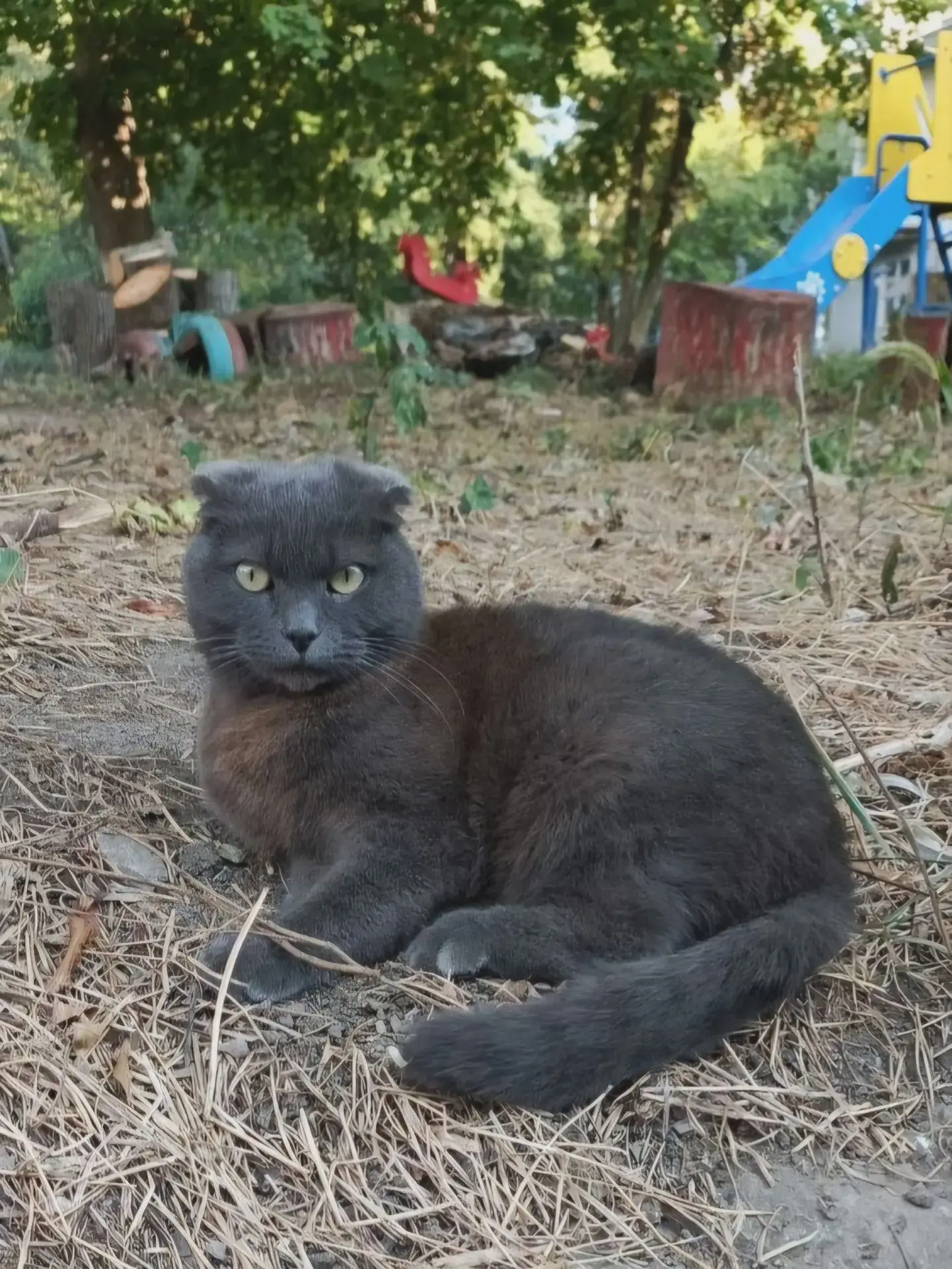 У Маруси много дел