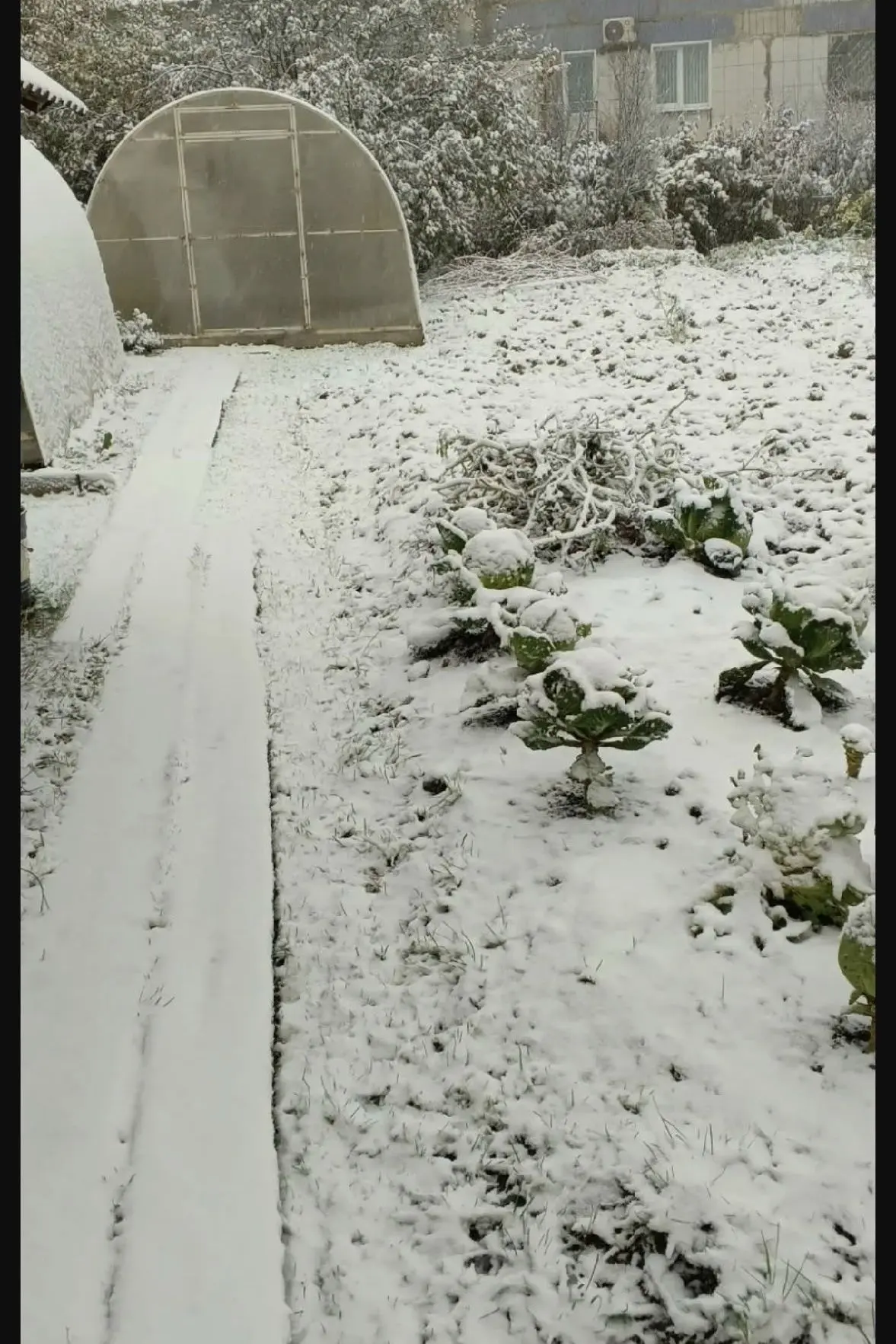 В Афанасьево сегодня.