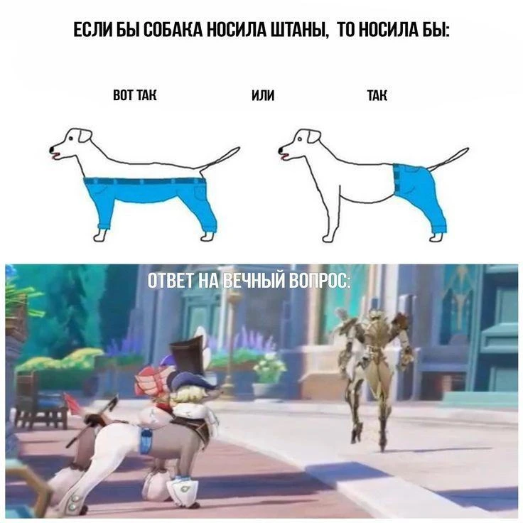 А что из этого штаны?