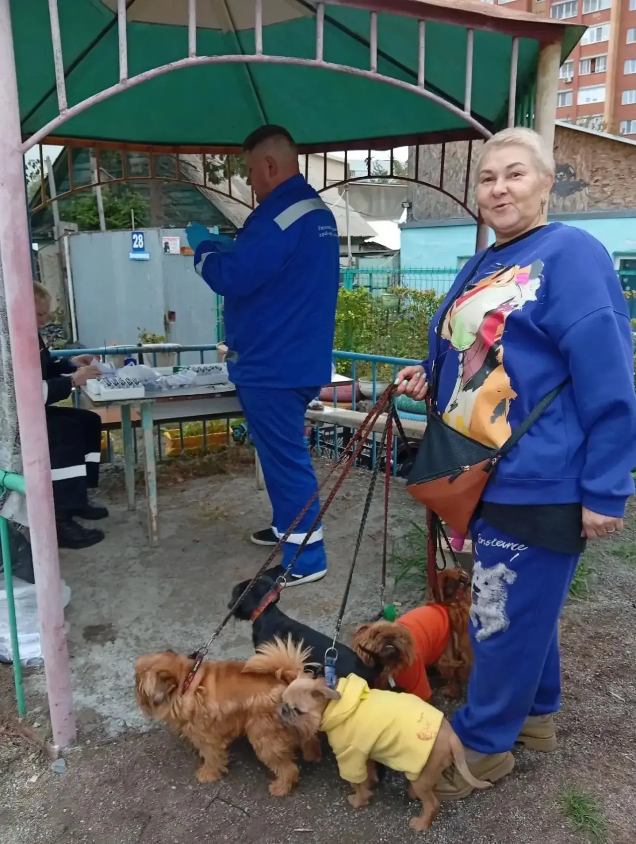 🐕 Бешенство — угроза, которую можно предотвратить!