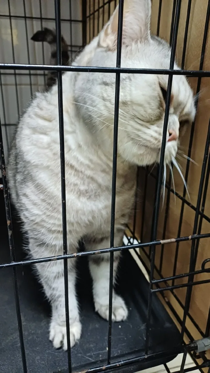 #НижнийНовгород
