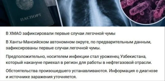 ⚡Чума идет.