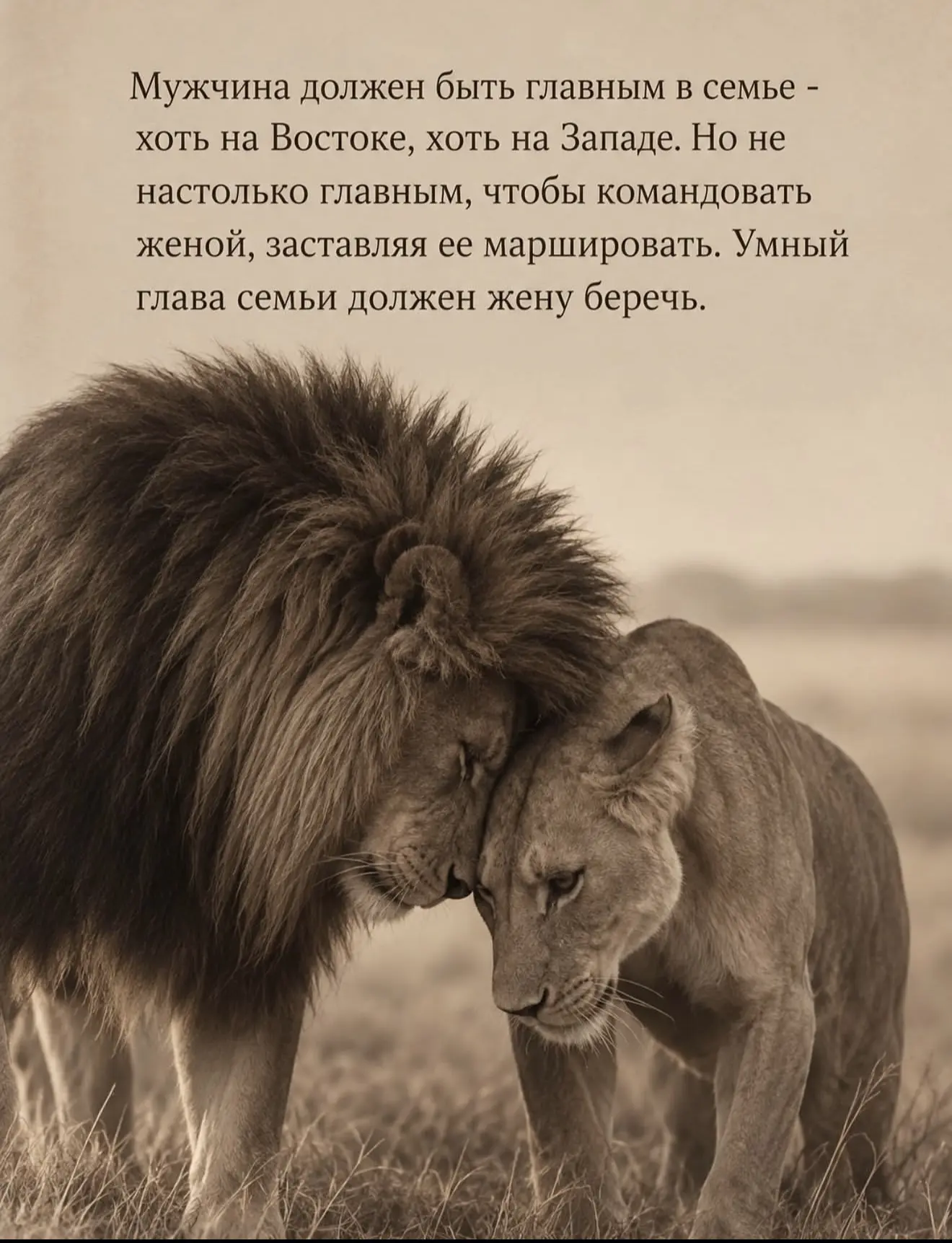 Глава семьи должен жену беречь ☝️🫶