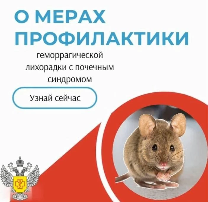 Геморрагическая лихорадка с почечным синдромом!!!