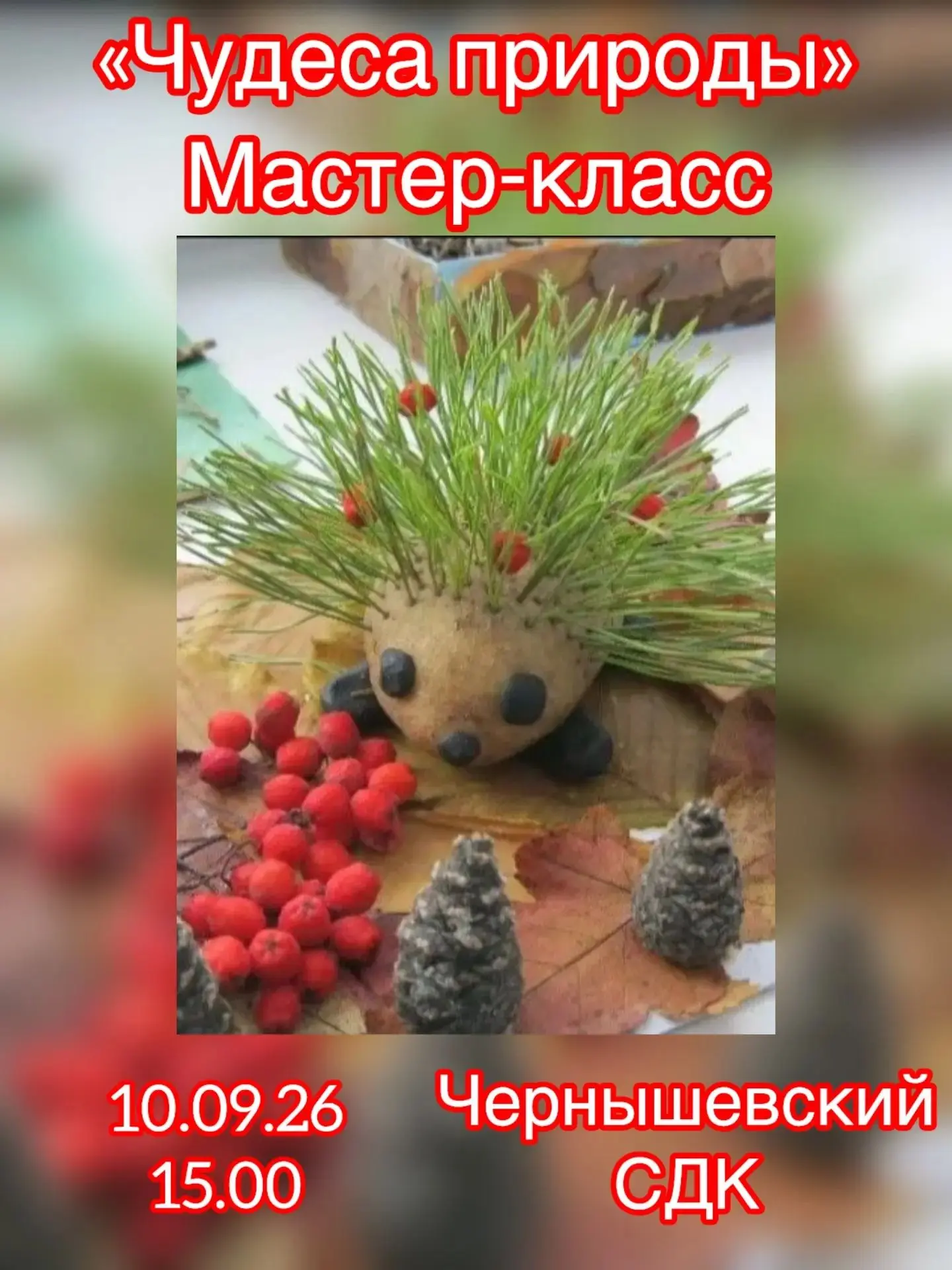 🌼🤗 Чернышевский СДК ждет вас!