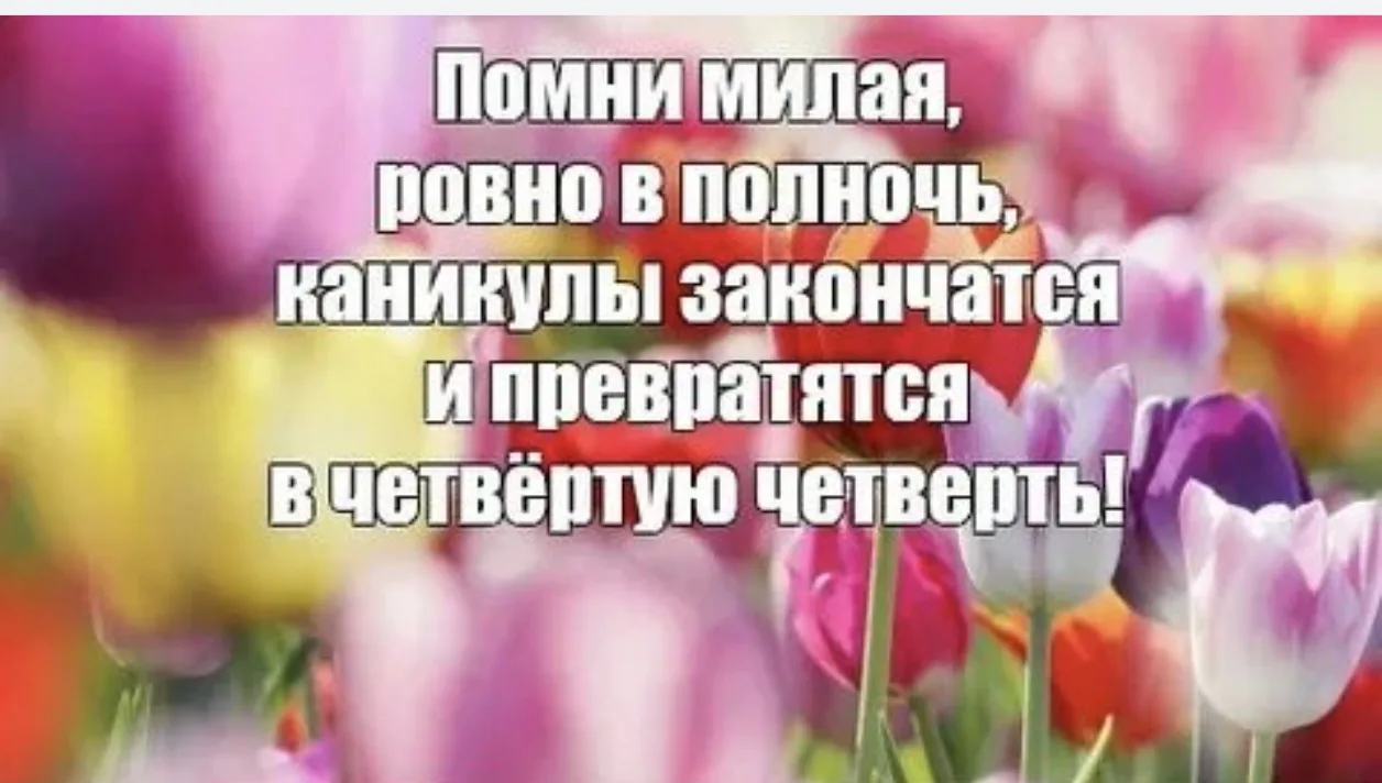 😂😂😂
