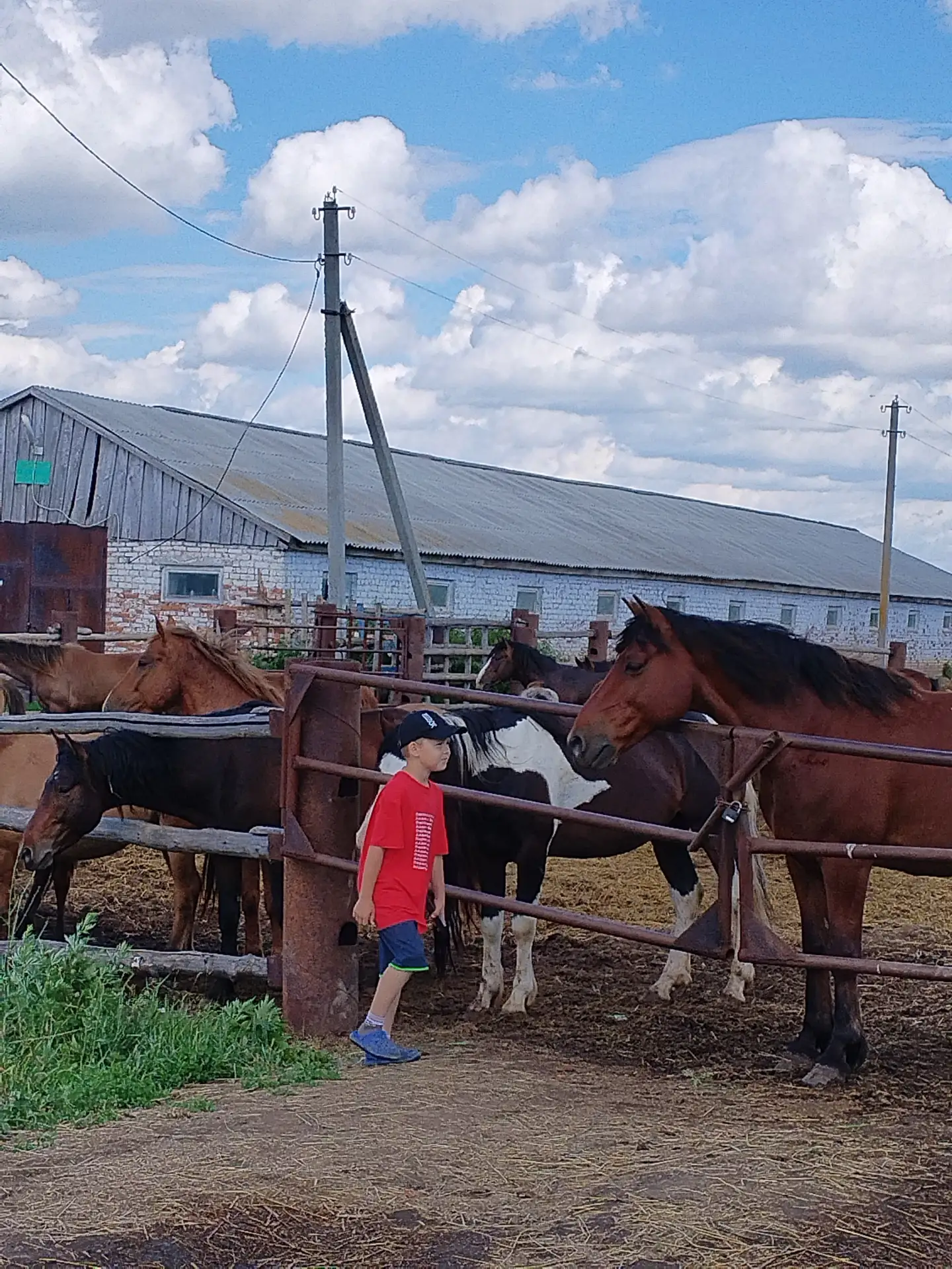 «Балкыш», день 16: От скачек до книжных страниц. 📖🏇

Сегодня мы не просто играли, мы погружались в