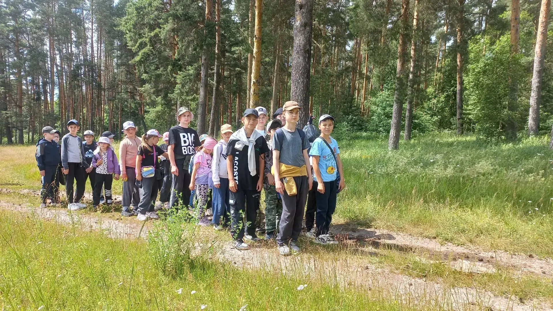 🌲 Поход в сосновый бор: день приключений! 
 
Сегодня наши ребята отправились в настоящий поход в со