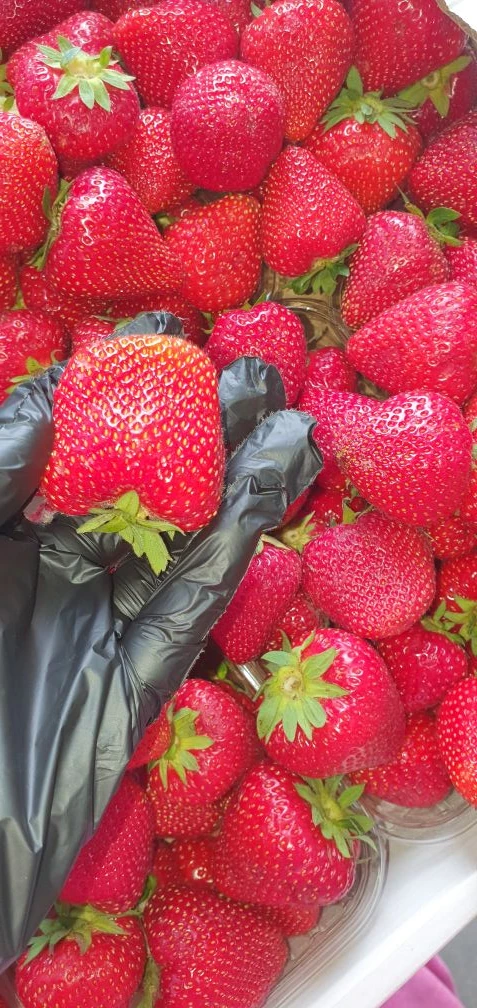 Новый завоз: 

🍓домашняя клубника 
🍒садовая черешня 
🍅три сорта местных, сладких помидор 
🍅два с