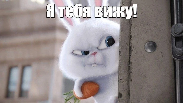 ФОКУСЫ ЯЗЫКА: ЧЕТЫРЕ УРОВНЯ ПРИМЕНЕНИЯ
