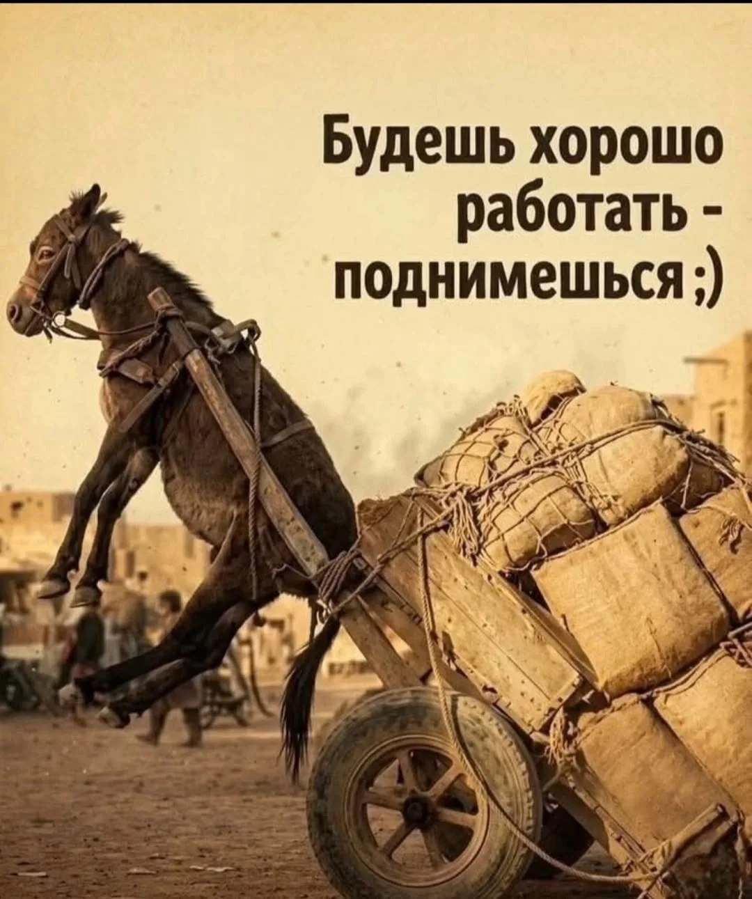 Сегодня встречаемся в Воронеже! 

Всем хороших выходных! 

animaciya.online