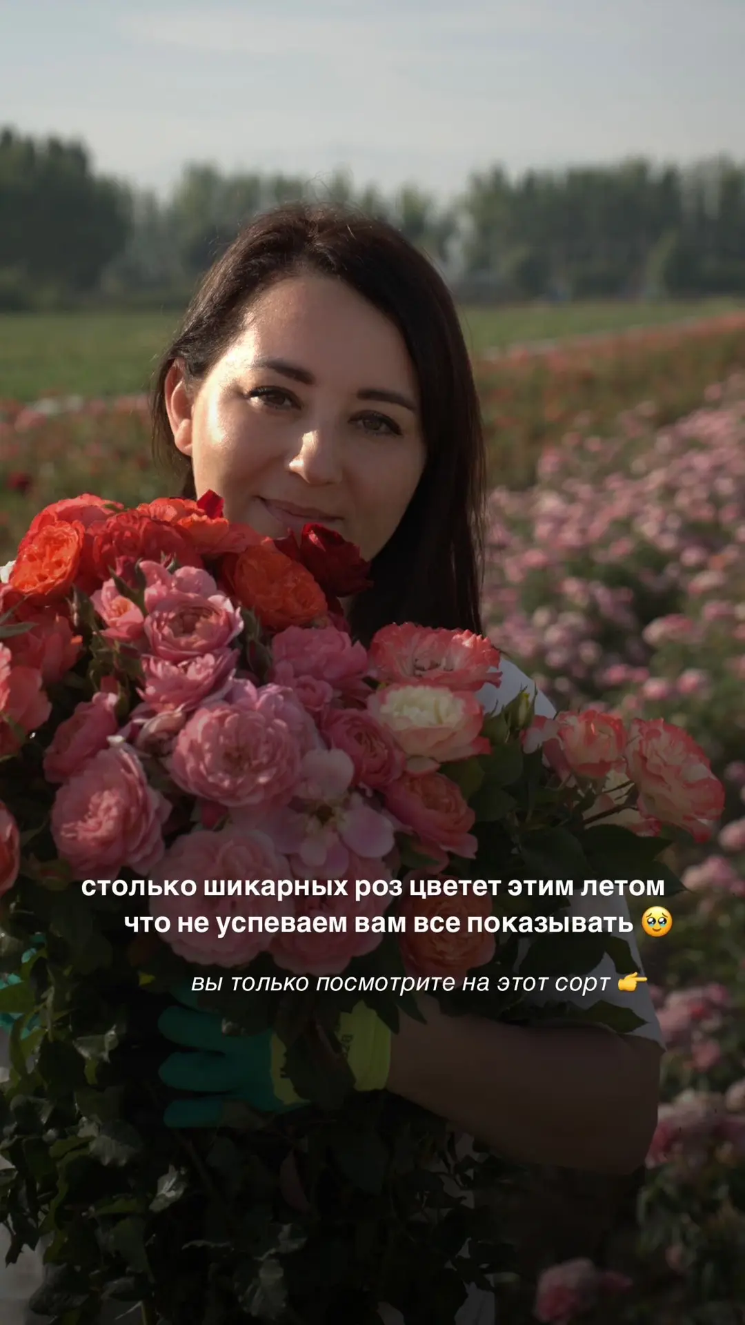 Любовь с первого взгляда - Роза Йорс ин Континьюид Френдшип 💔😍 Yours in Continued Friendship (Harp