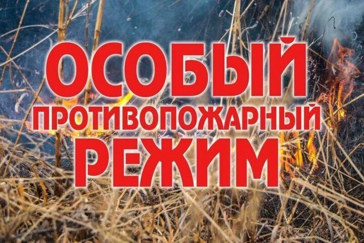 Внимание, в Башкортостане введен особый противопожарный режим. Он действует с 30 апреля по 12 июня 2