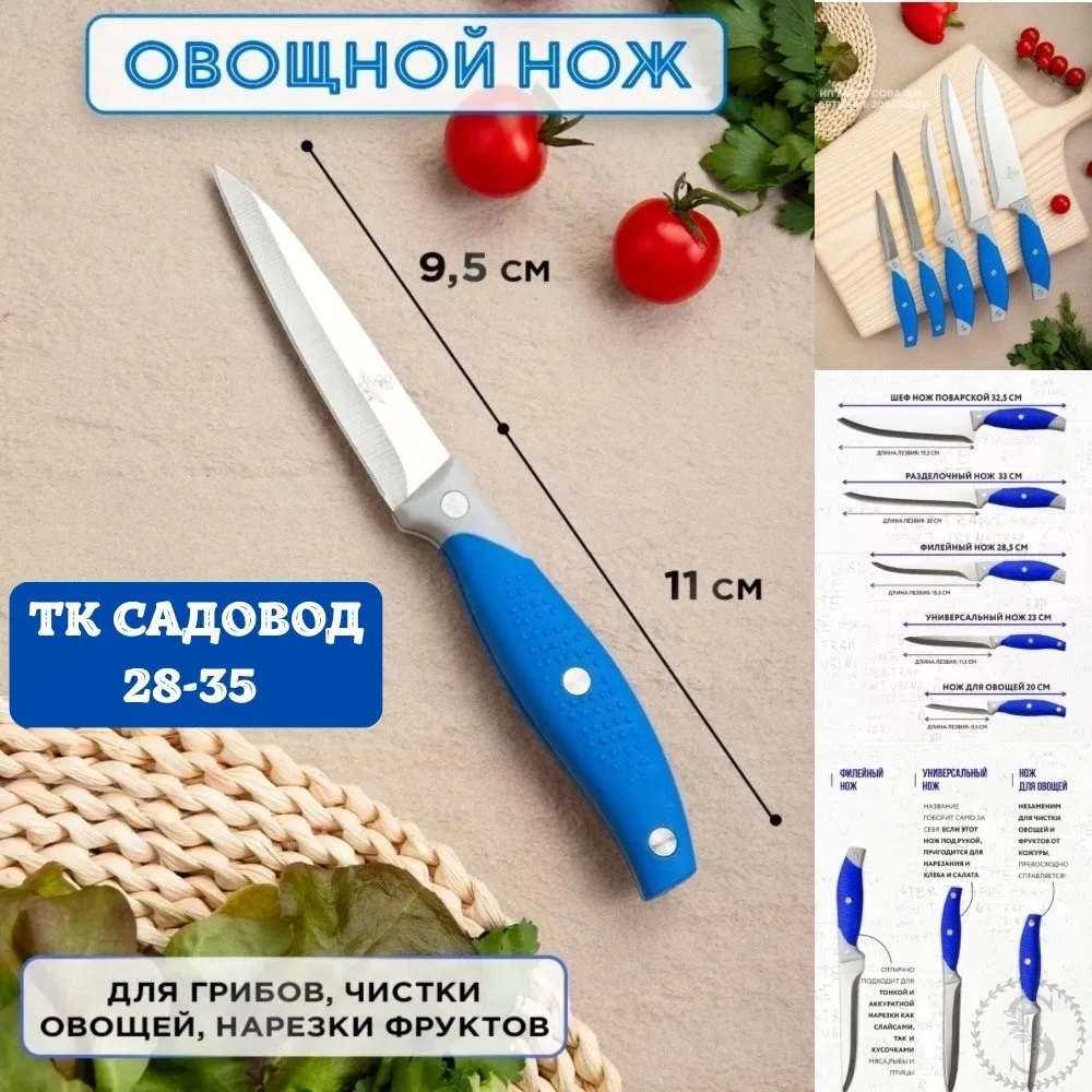 https://vk.com/photo-184814919_492922692