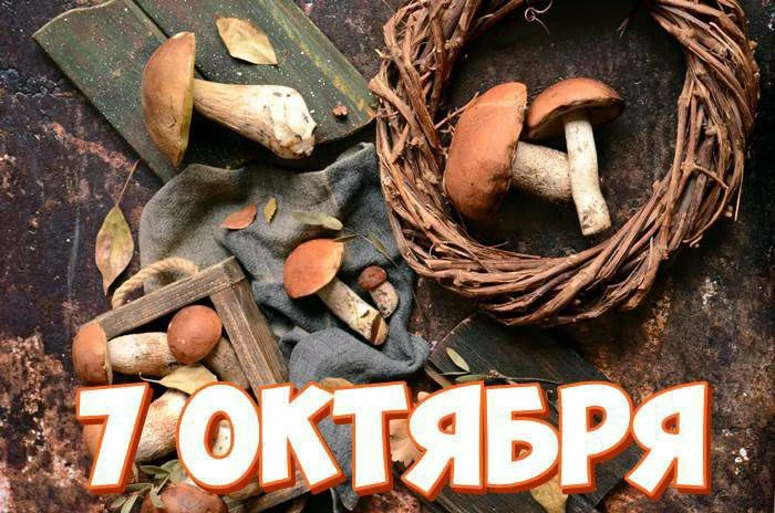 Праздники 7 октября, среда🗓️