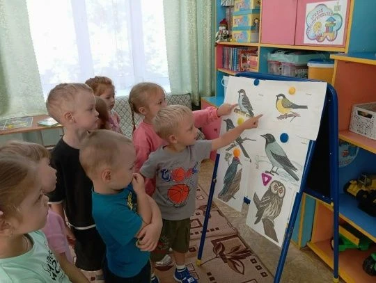 День птиц