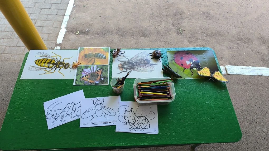 5 группа "Подсолнух"🌻 тематическая неделя о насекомых " В гости к букашкам" Рисование.