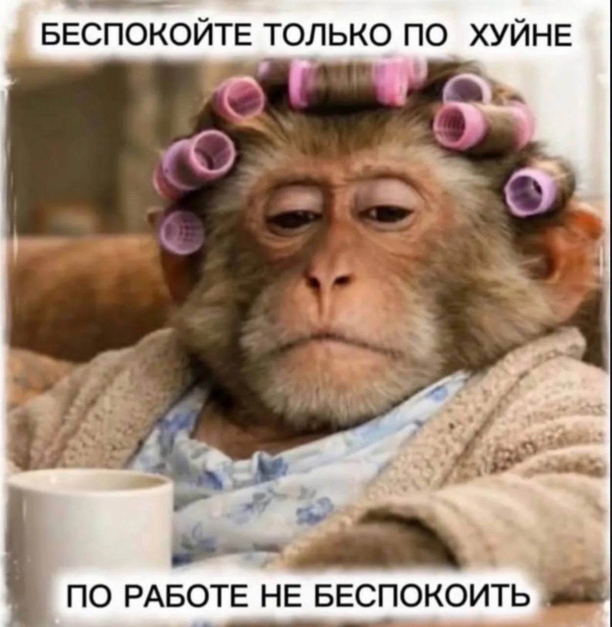 Простите, не удержалась 😂