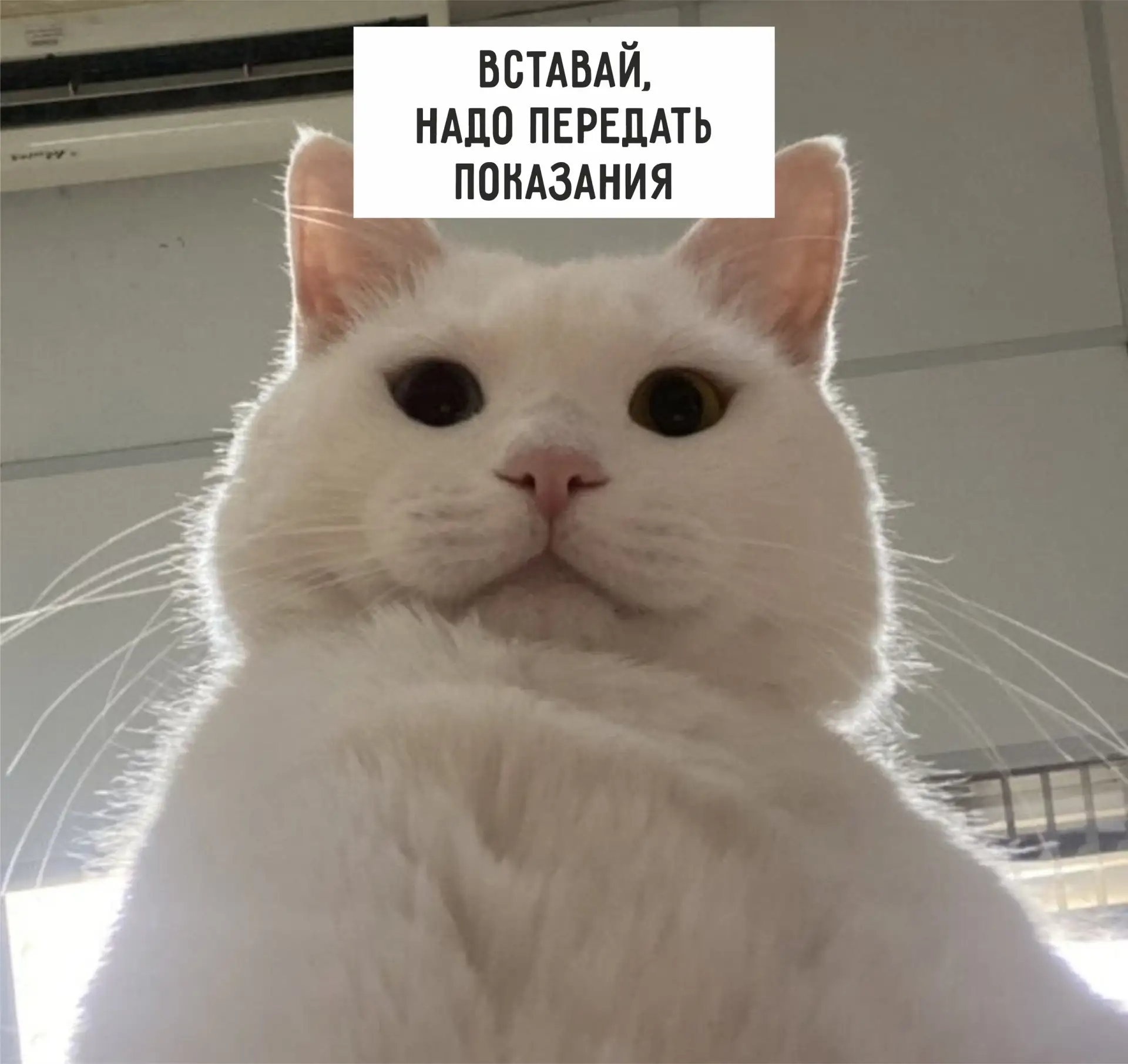 НЕ ЗАБУДЬ ПЕРЕДАТЬ ПОКАЗАНИЯ⚠