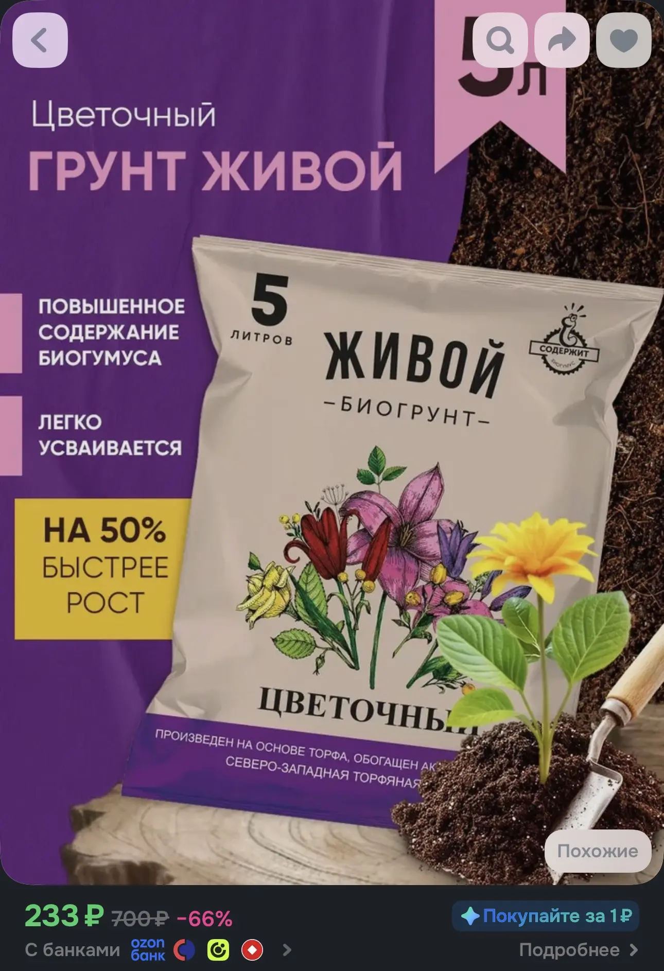 Живой грунт