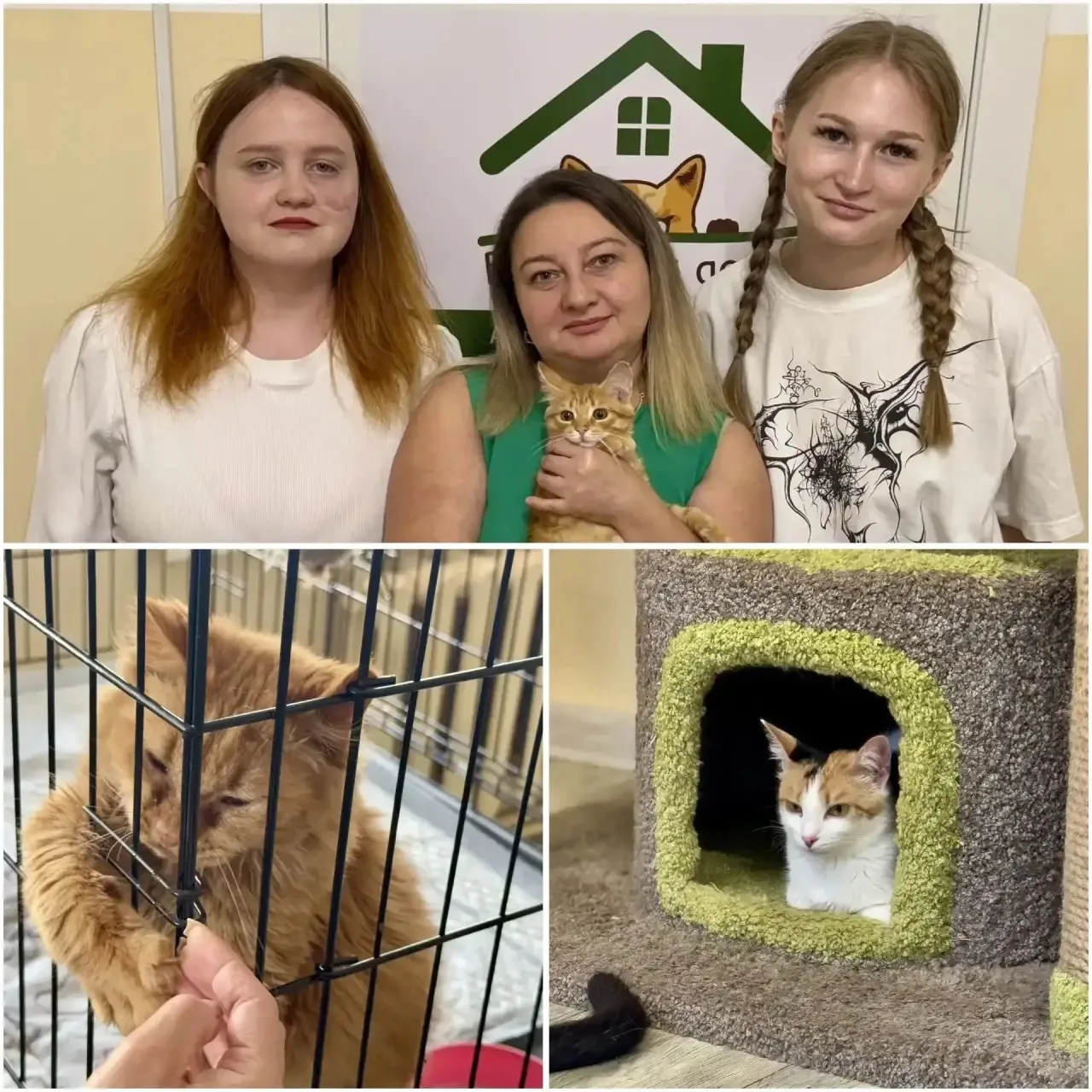 📣Поддерживаем добрые дела!